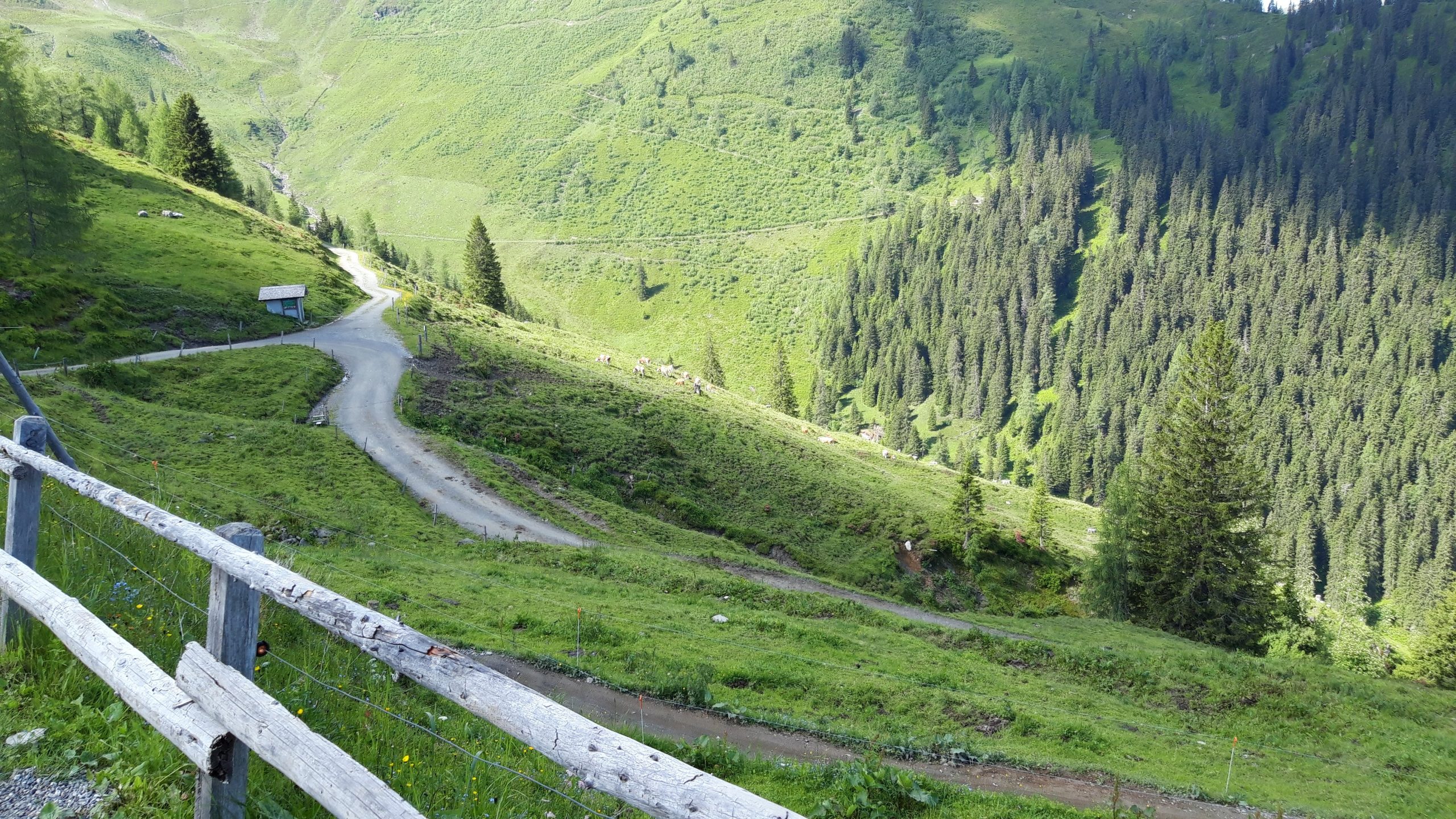 20200626_095116